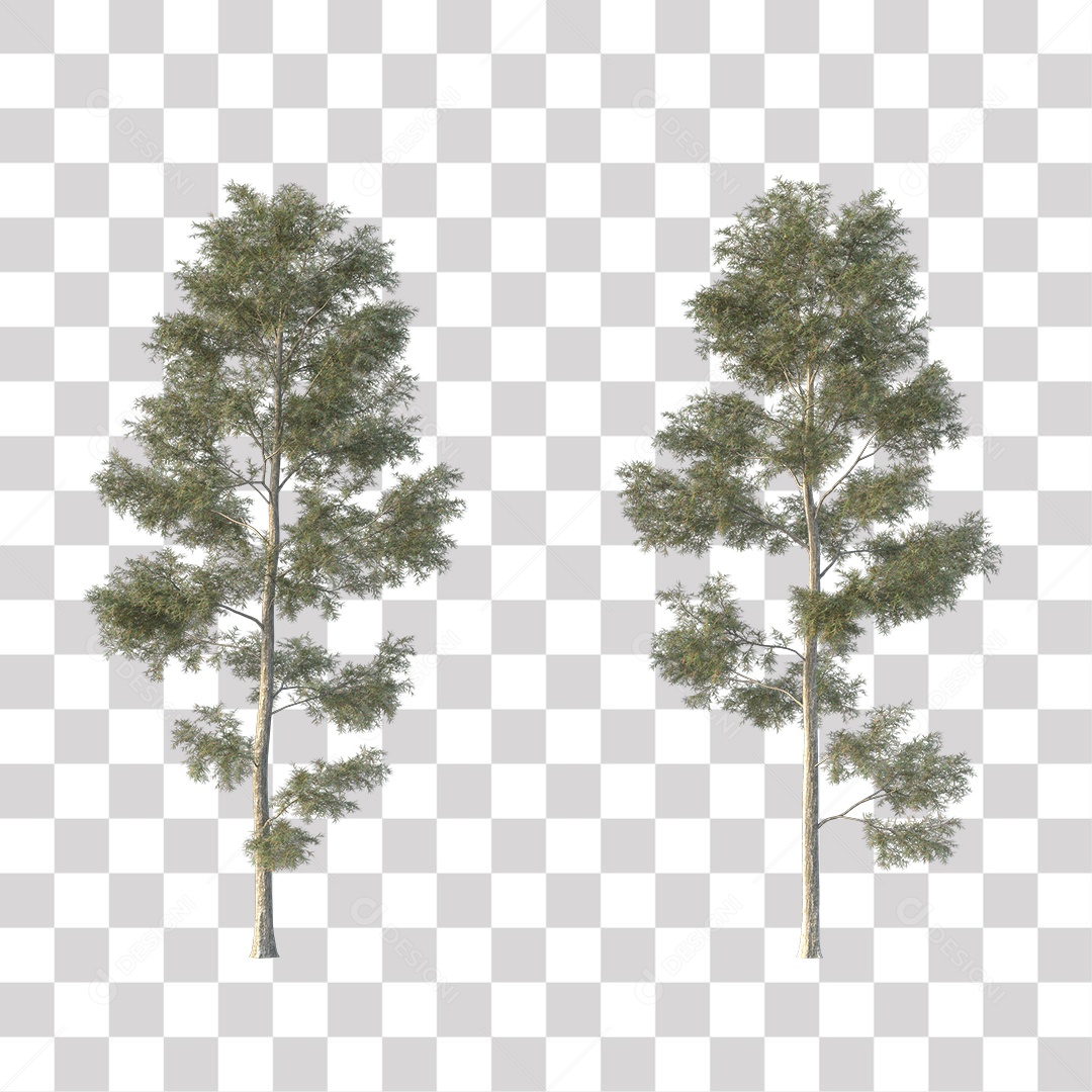 Árvores verdes PNG Transparente