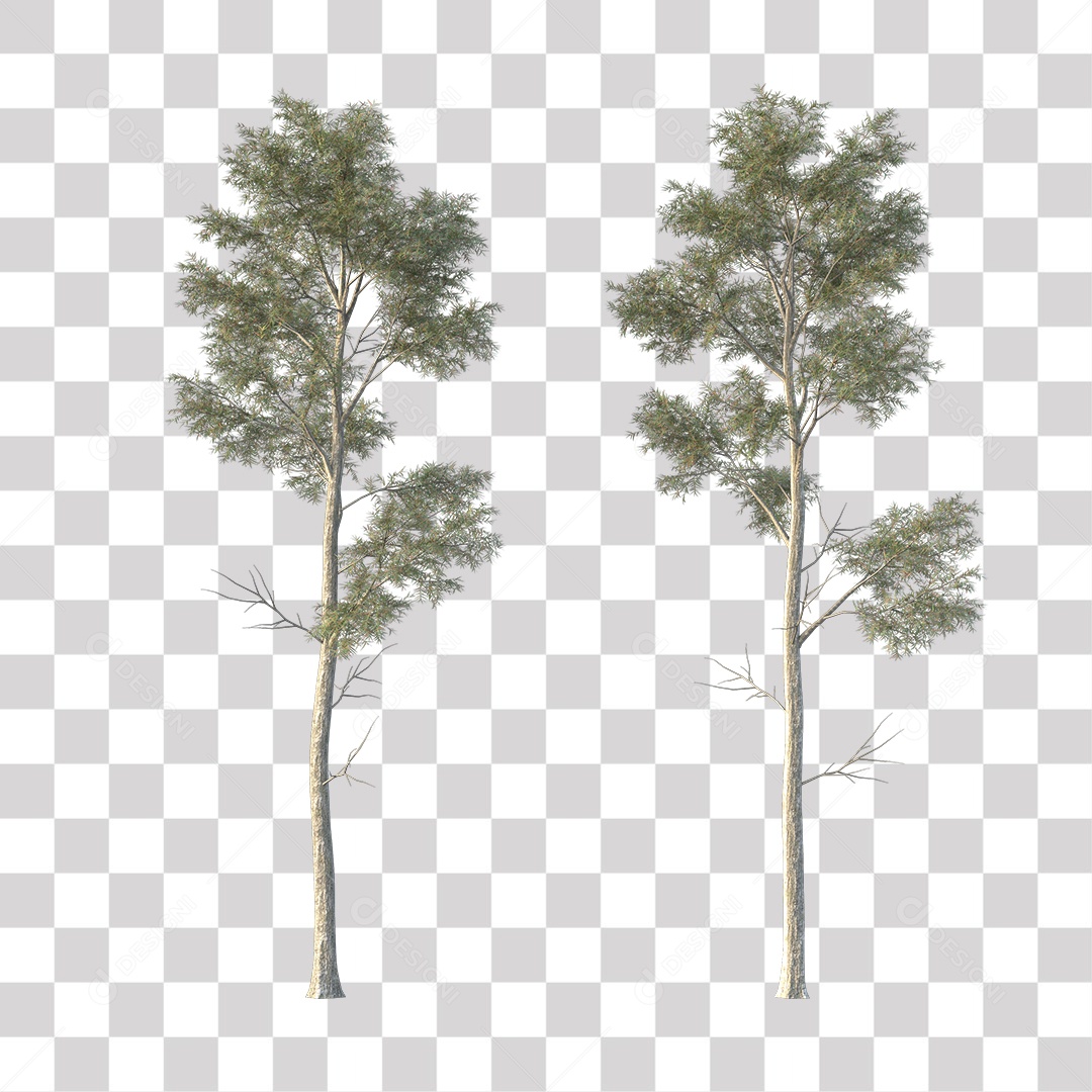 Árvores verdes PNG Transparente