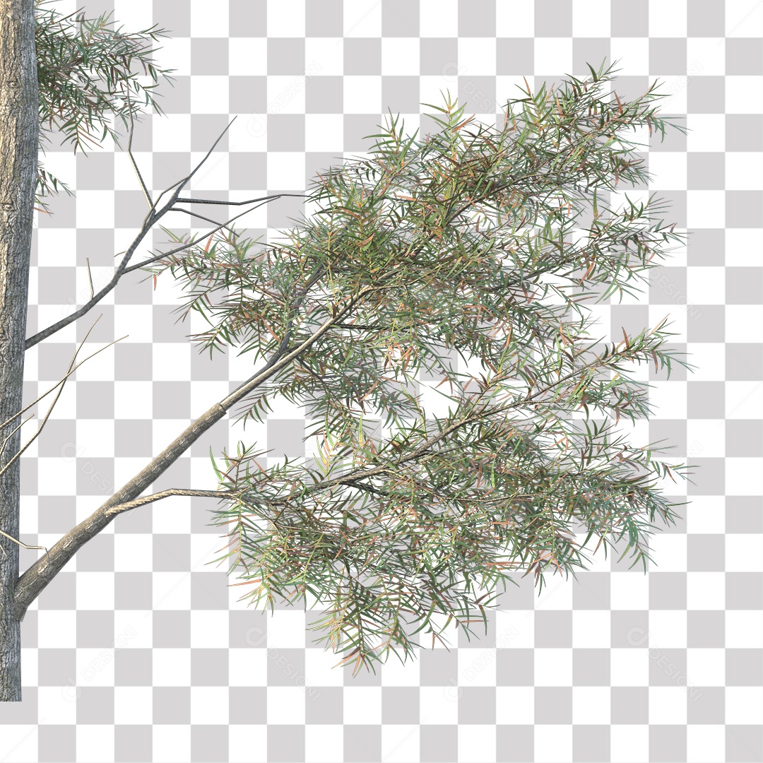 Árvores verdes PNG Transparente