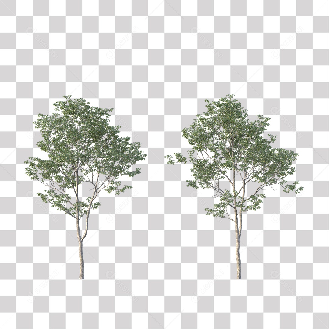 Árvores verdes PNG Transparente
