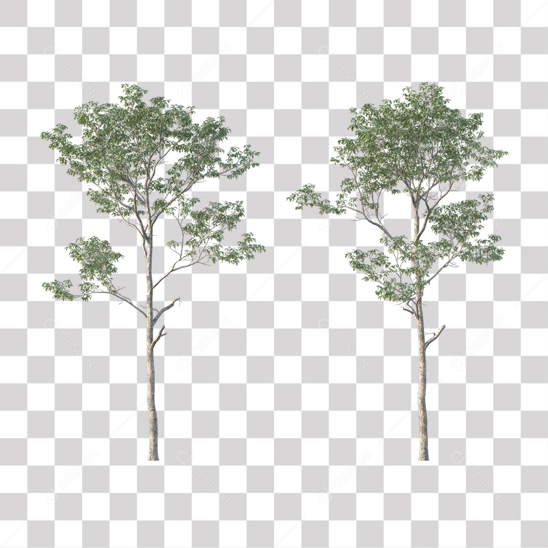 Árvores verdes PNG Transparente