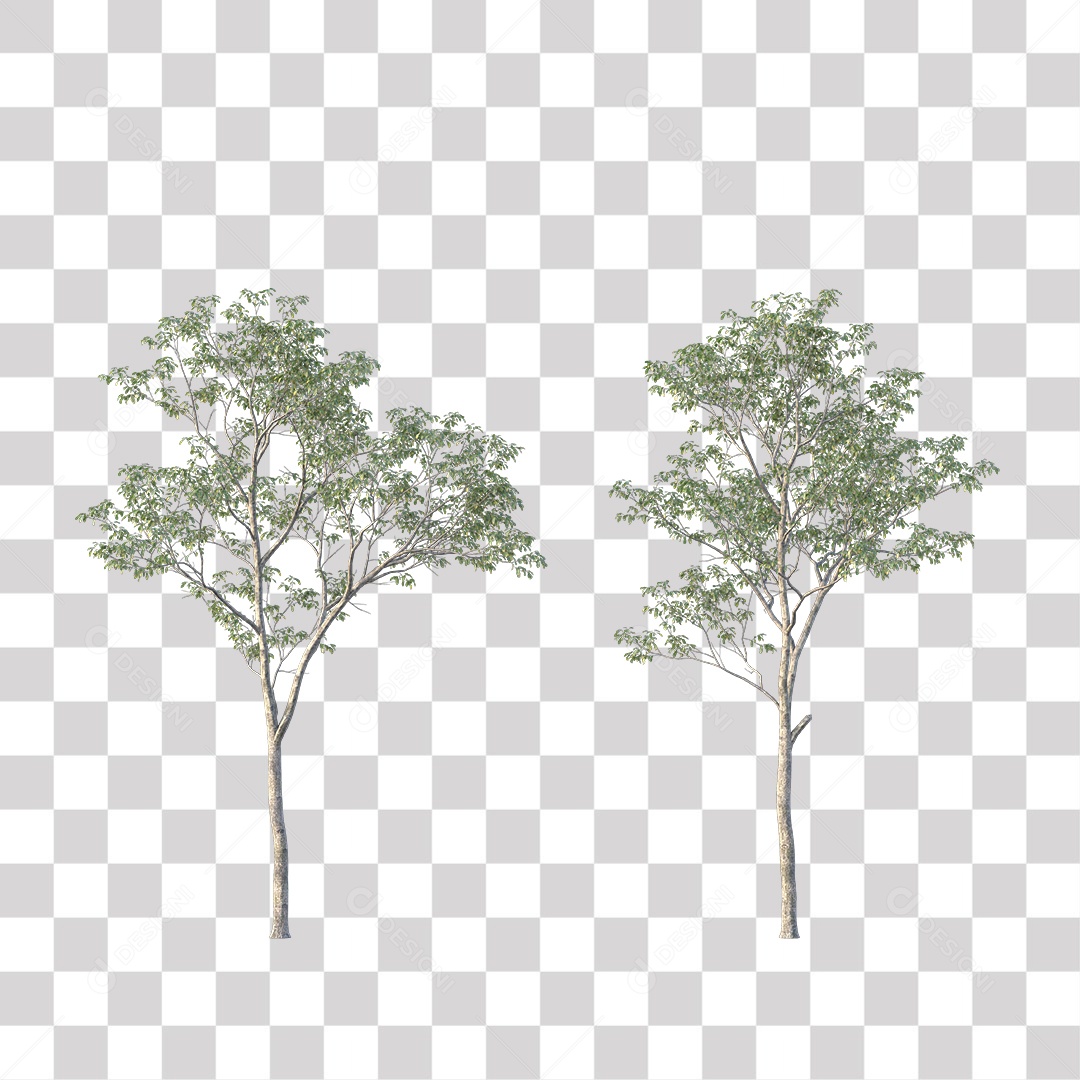 Árvores verdes PNG Transparente