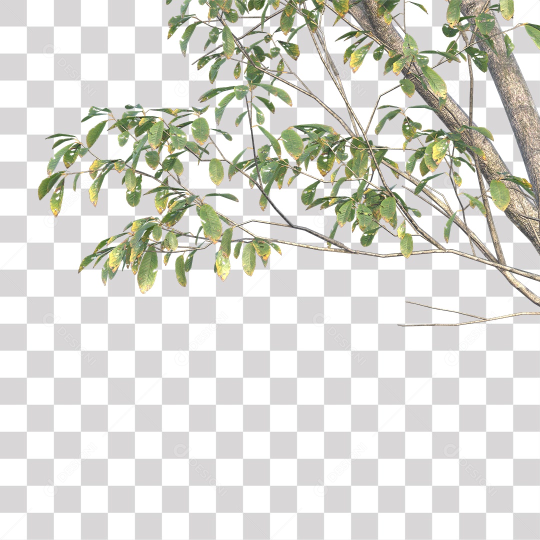 Árvores verdes PNG Transparente