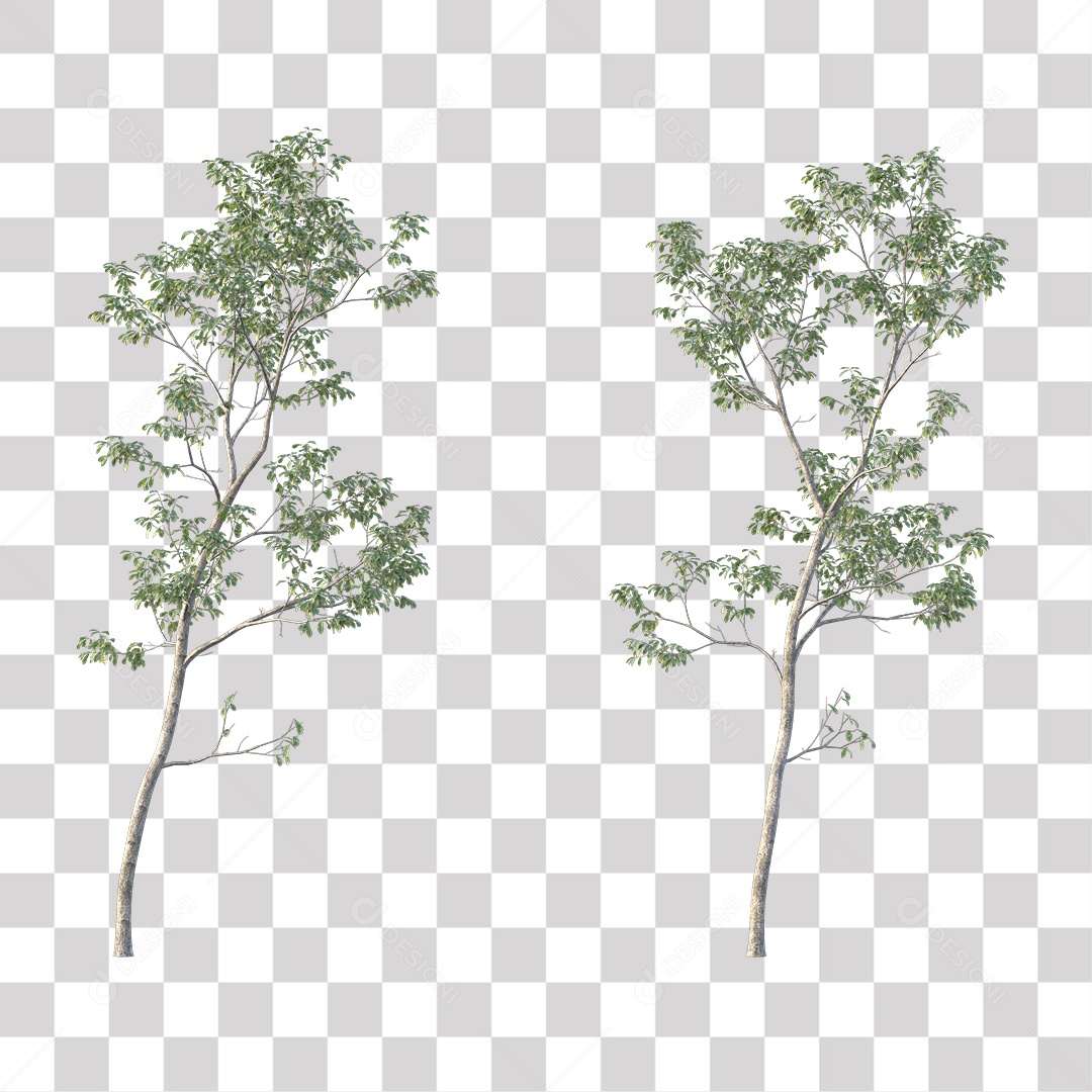 Árvores verdes PNG Transparente