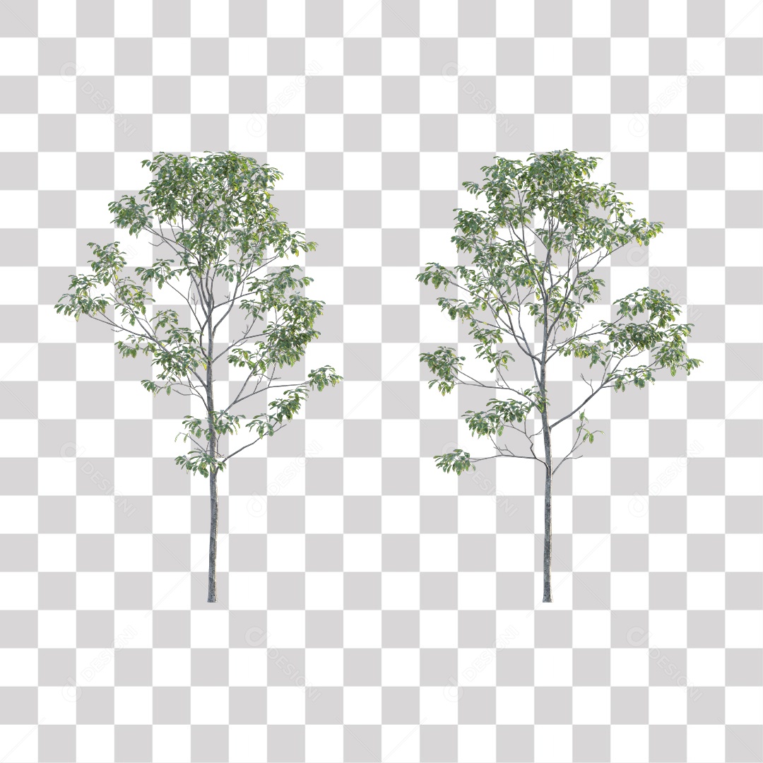 Árvores verdes PNG Transparente