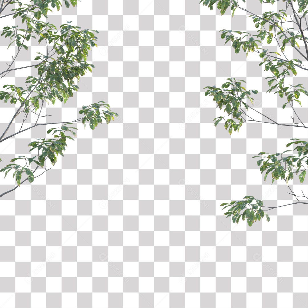 Árvores verdes PNG Transparente