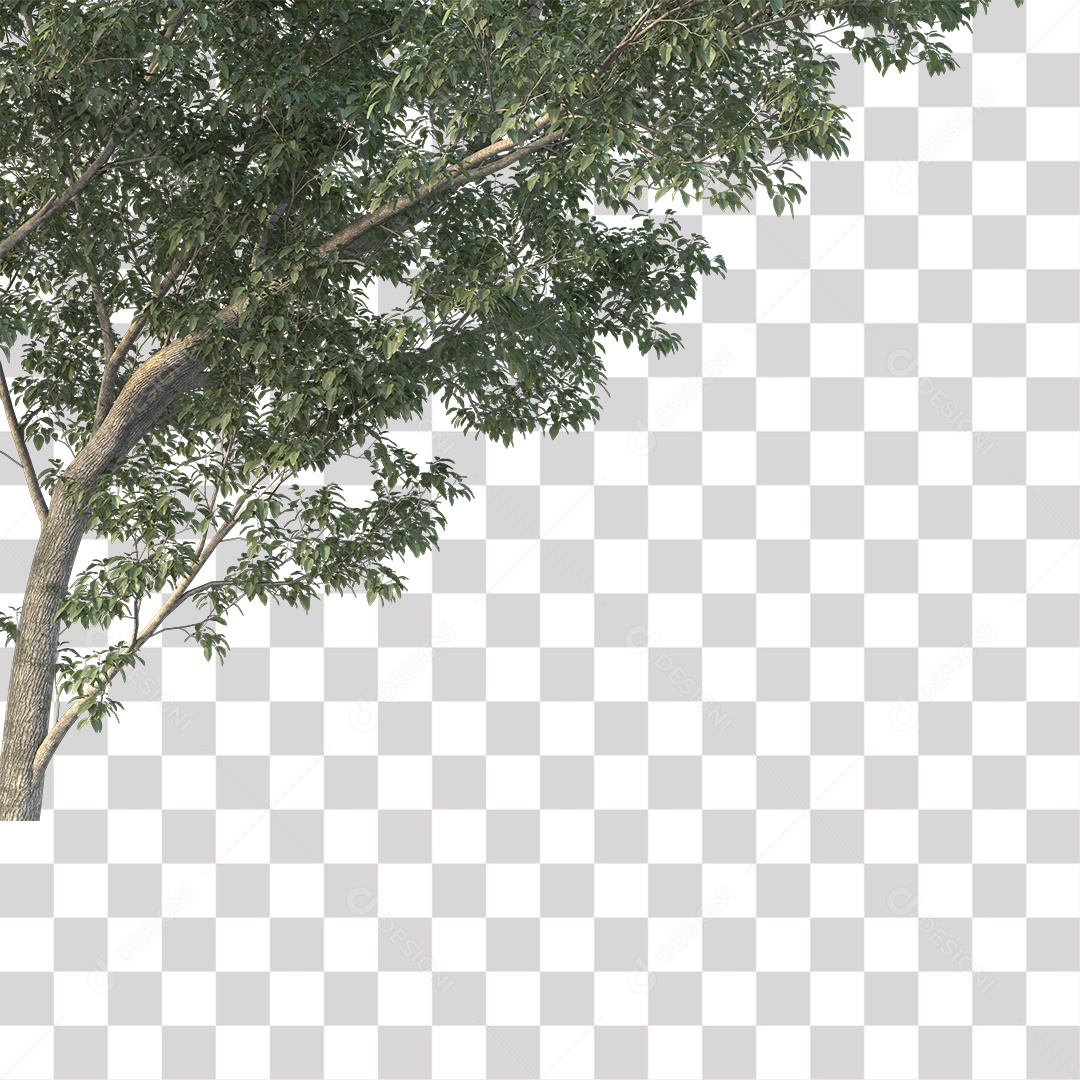 Árvores verdes PNG Transparente