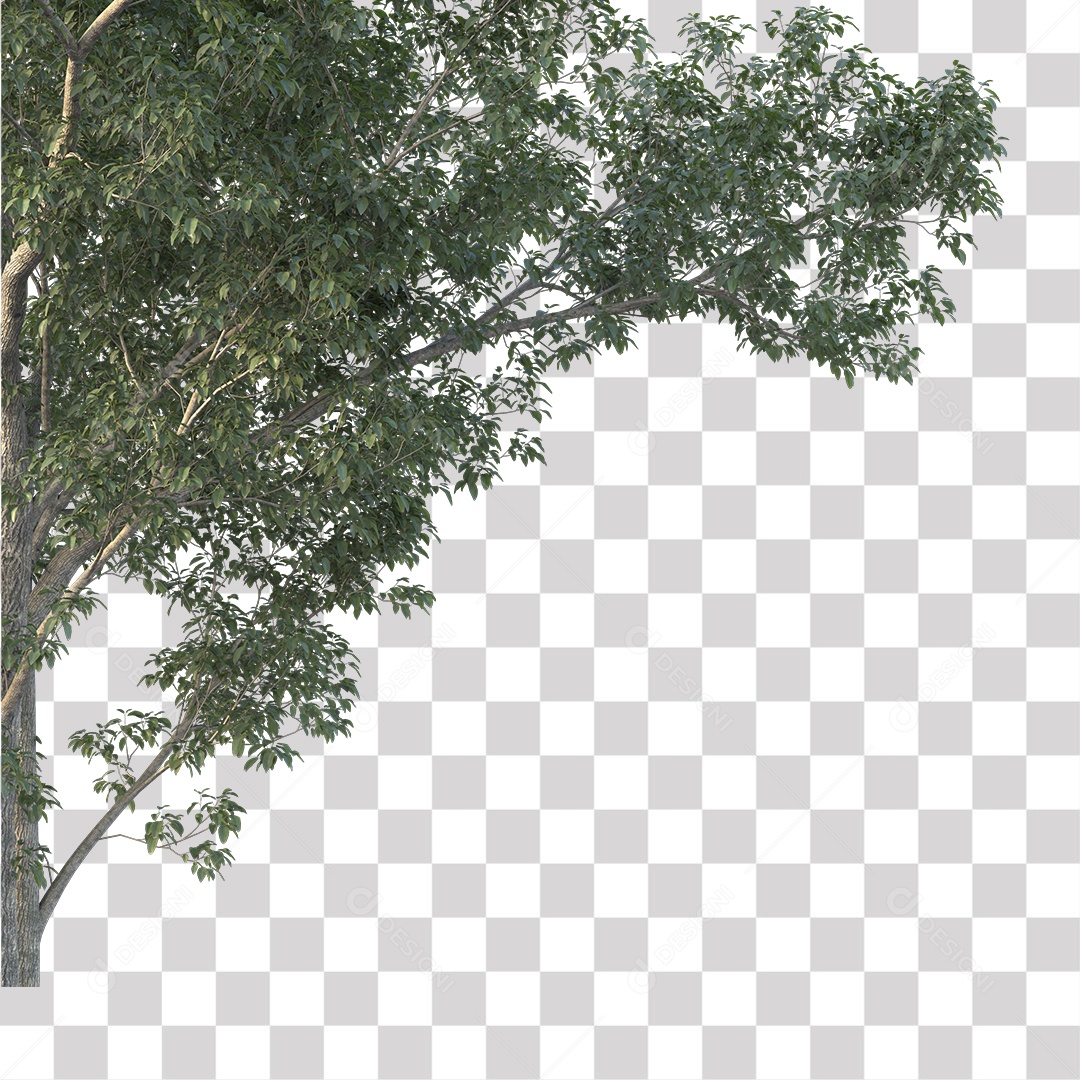 Árvores verdes PNG Transparente