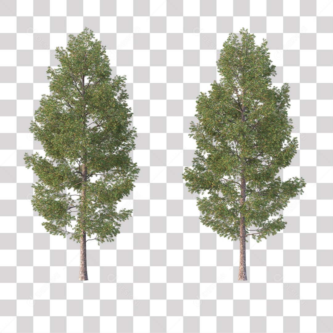 Árvore de Folha Verde Coqueiro Planta PNG Transparente