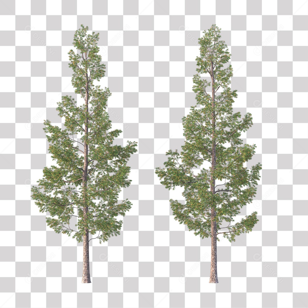 Árvore de Folha Verde Coqueiro Planta PNG Transparente