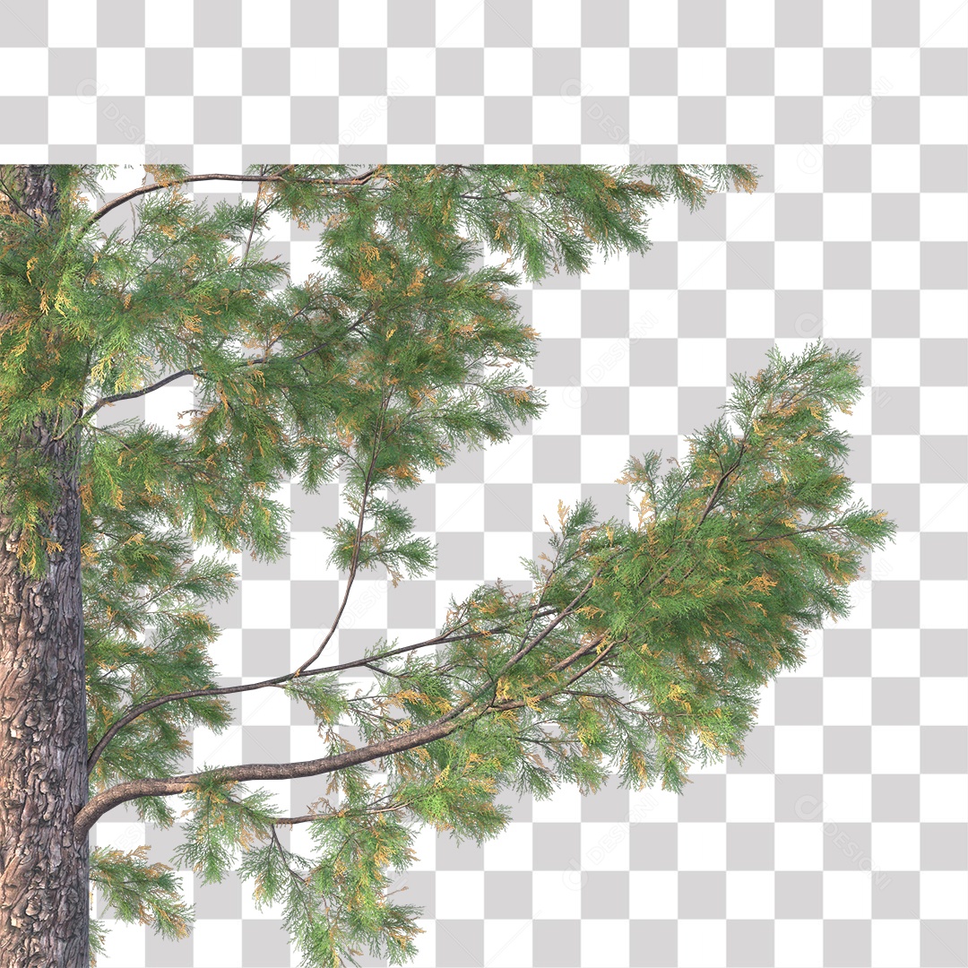 Árvore de Folha Verde Coqueiro Planta PNG Transparente