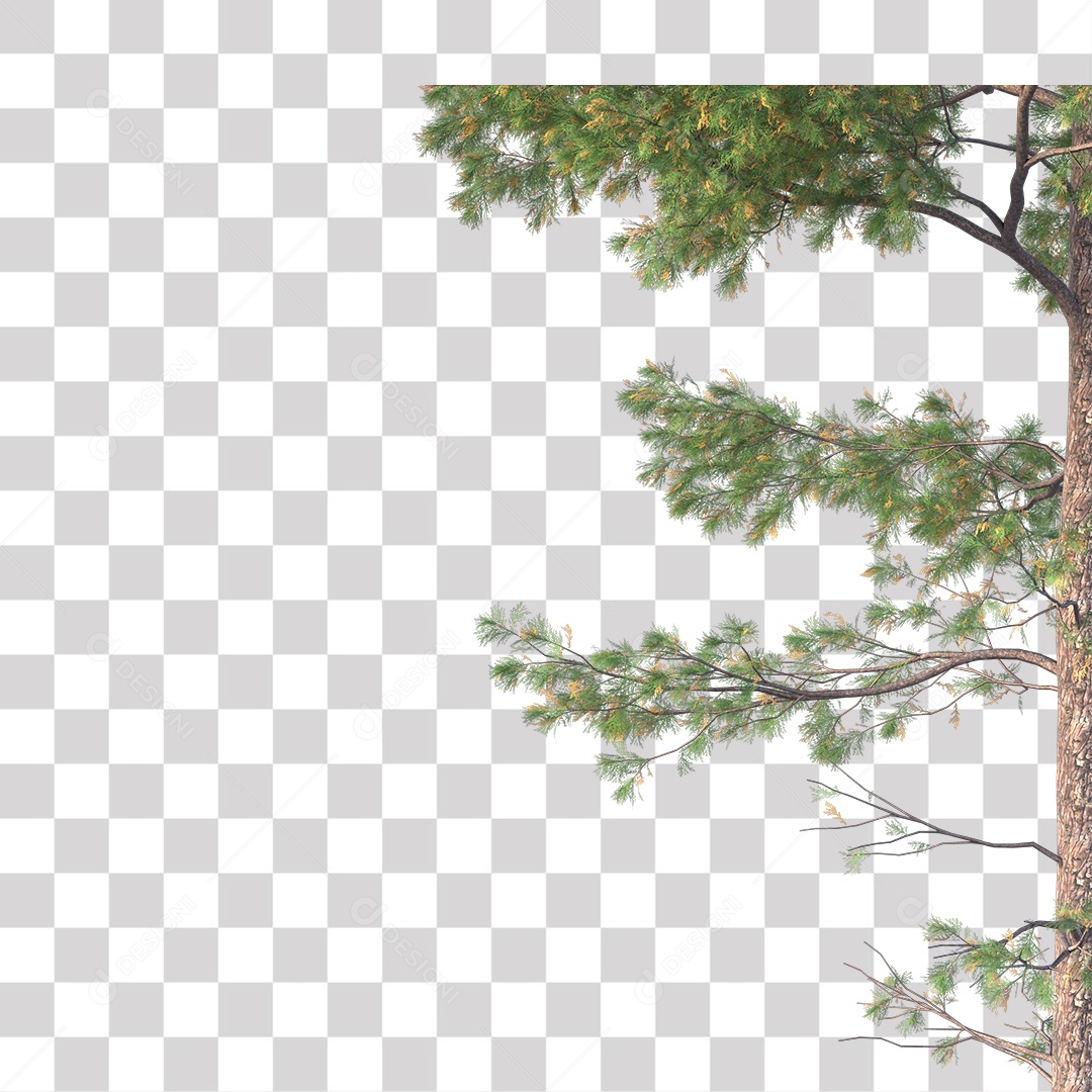 Árvore de Folha Verde Coqueiro Planta PNG Transparente