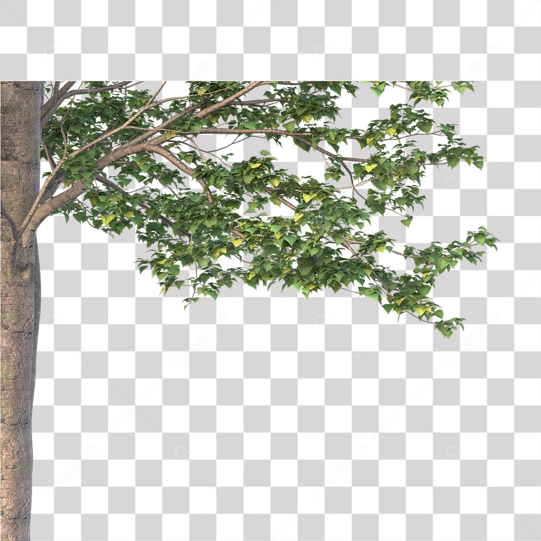 Árvore de Folha Verde Coqueiro Planta PNG Transparente