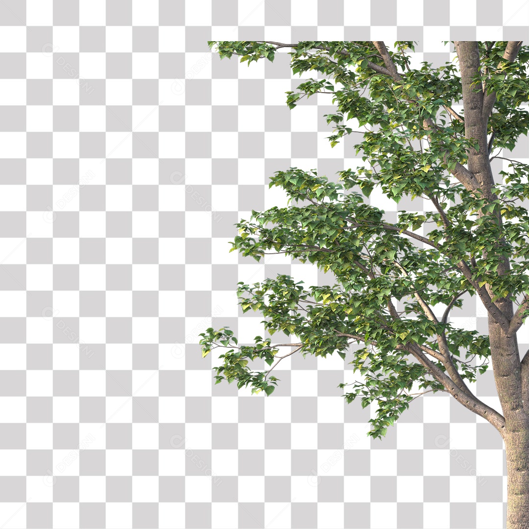 Árvore de Folha Verde Coqueiro Planta PNG Transparente