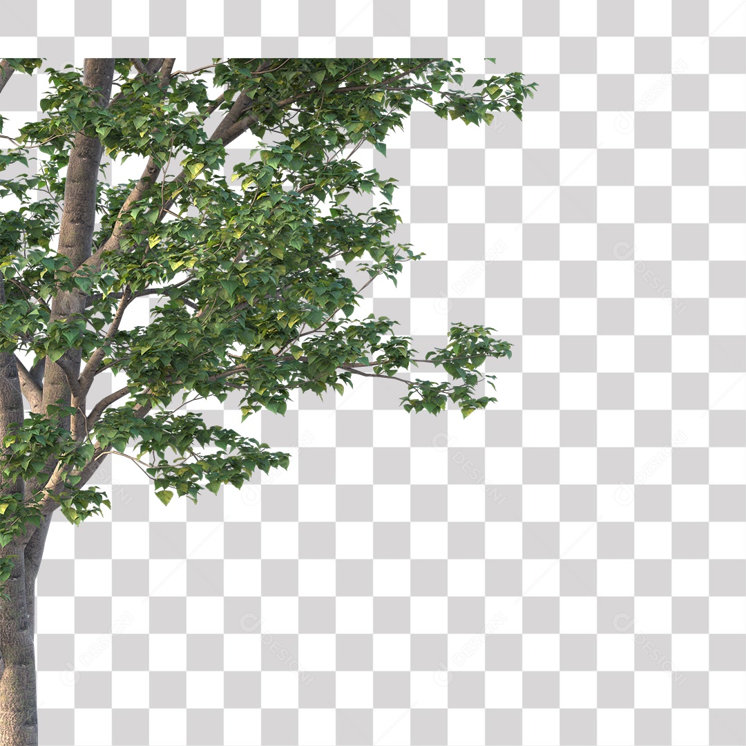 Árvore de Folha Verde Coqueiro Planta PNG Transparente