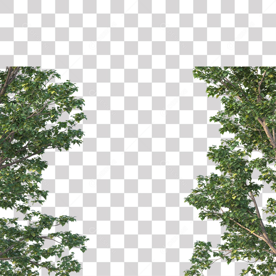 Árvore de Folha Verde Coqueiro Planta PNG Transparente