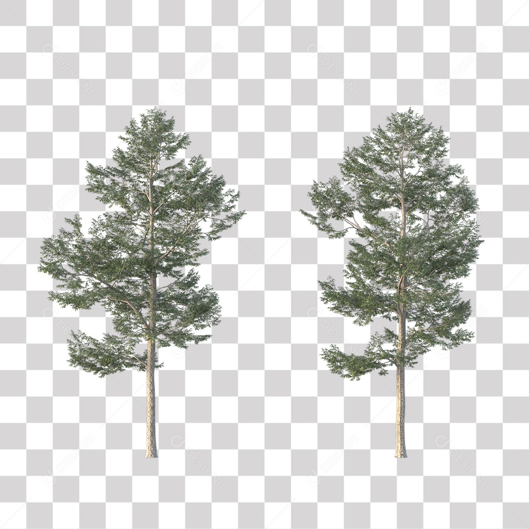 Árvore de Folha Verde Coqueiro Planta PNG Transparente