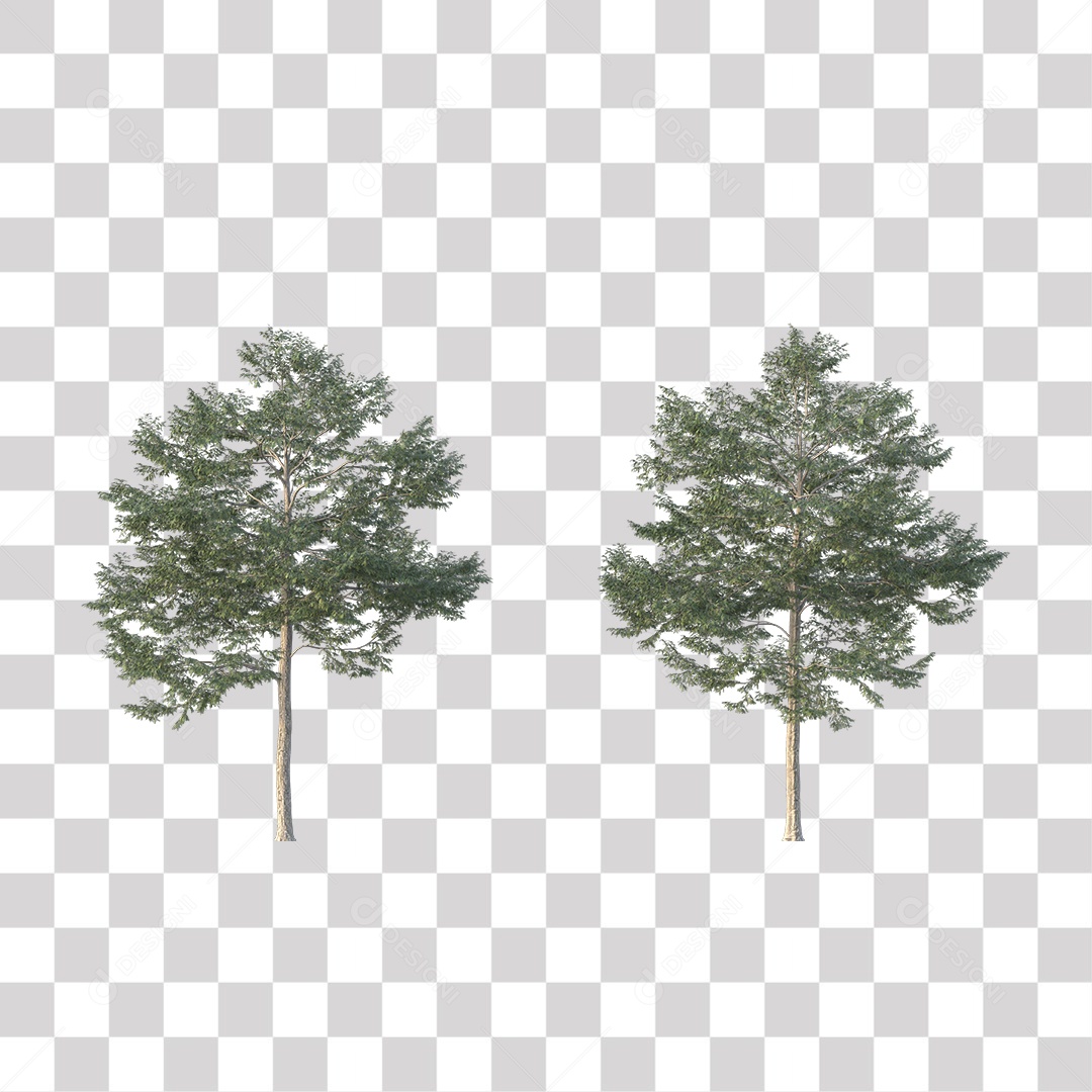 Árvore de Folha Verde Coqueiro Planta PNG Transparente