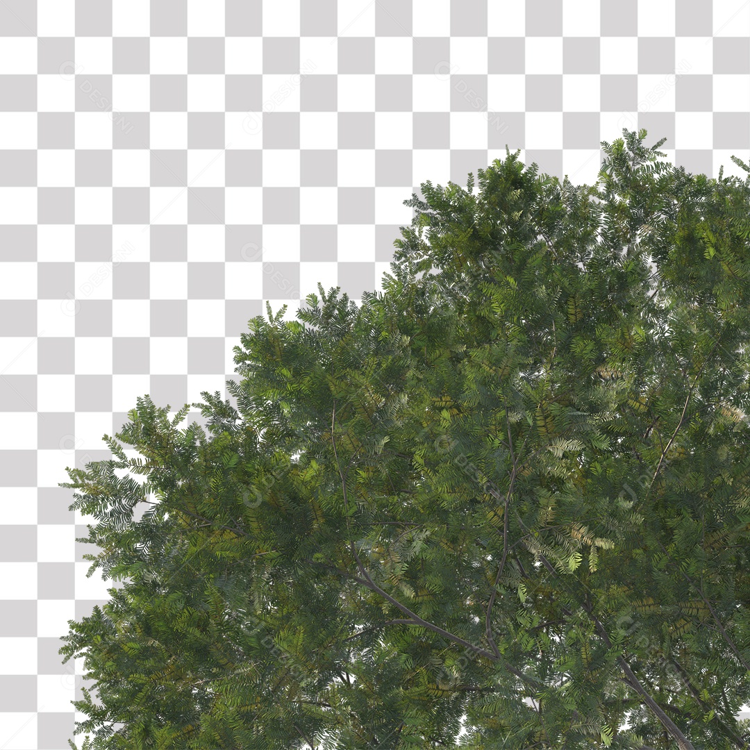 Árvore de Folha Verde Coqueiro Planta PNG Transparente