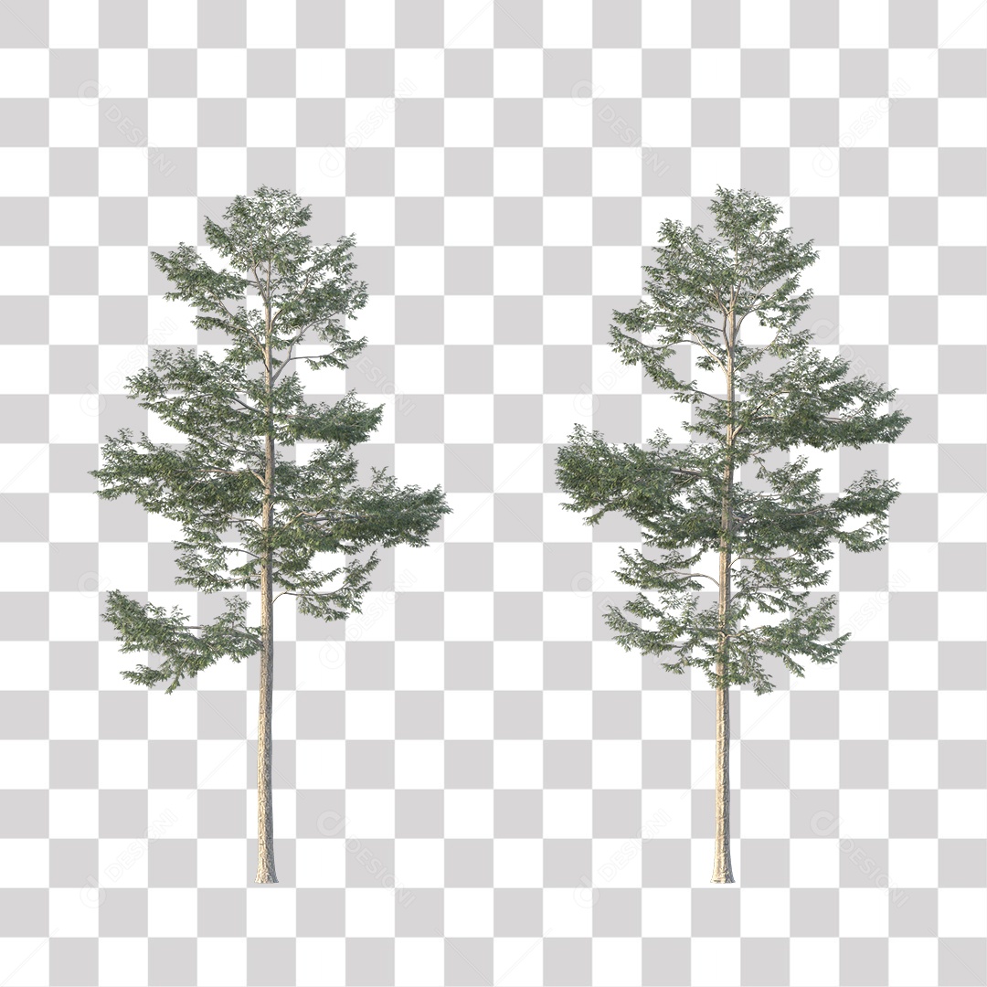 Árvore de Folha Verde Coqueiro Planta PNG Transparente