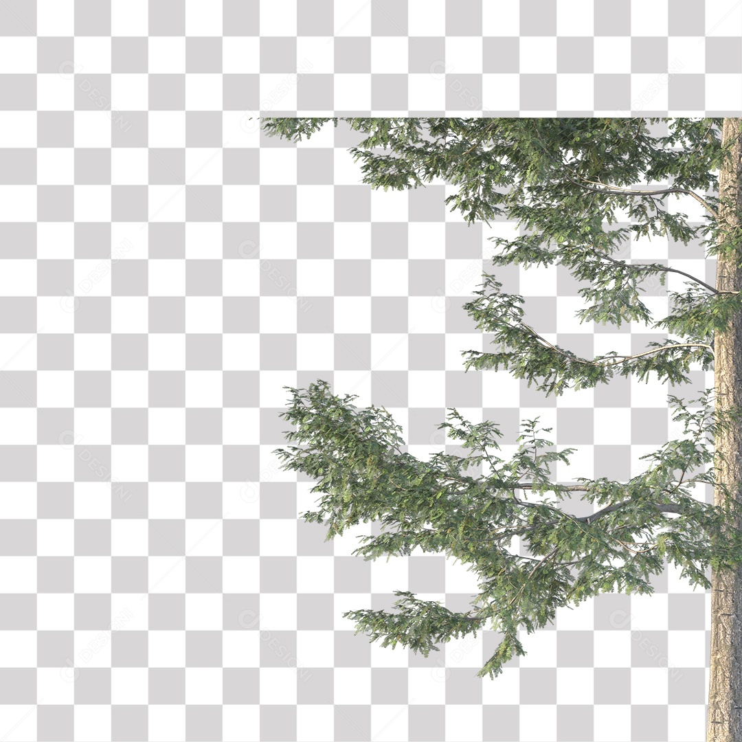 Árvore de Folha Verde Coqueiro Planta PNG Transparente