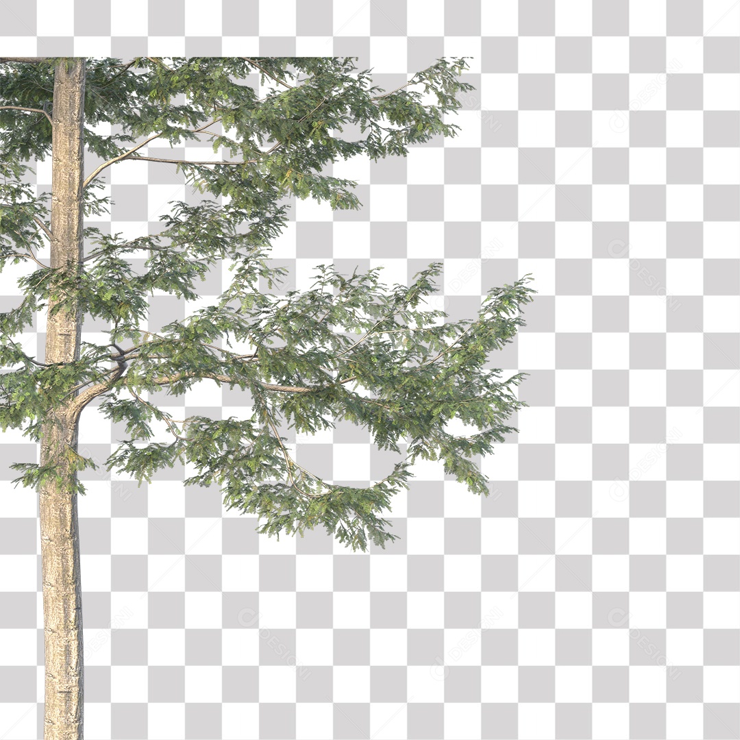 Árvore de Folha Verde Coqueiro Planta PNG Transparente