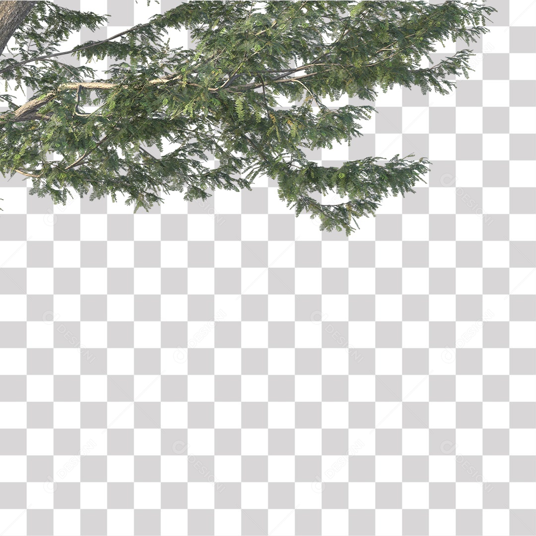 Árvore de Folha Verde Coqueiro Planta PNG Transparente