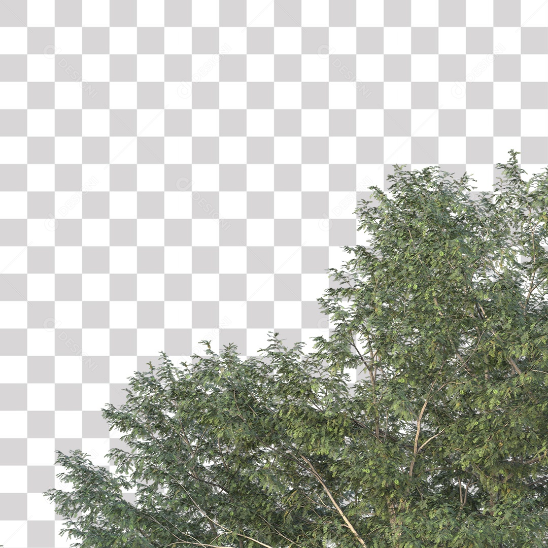 Árvore de Folha Verde Coqueiro Planta PNG Transparente