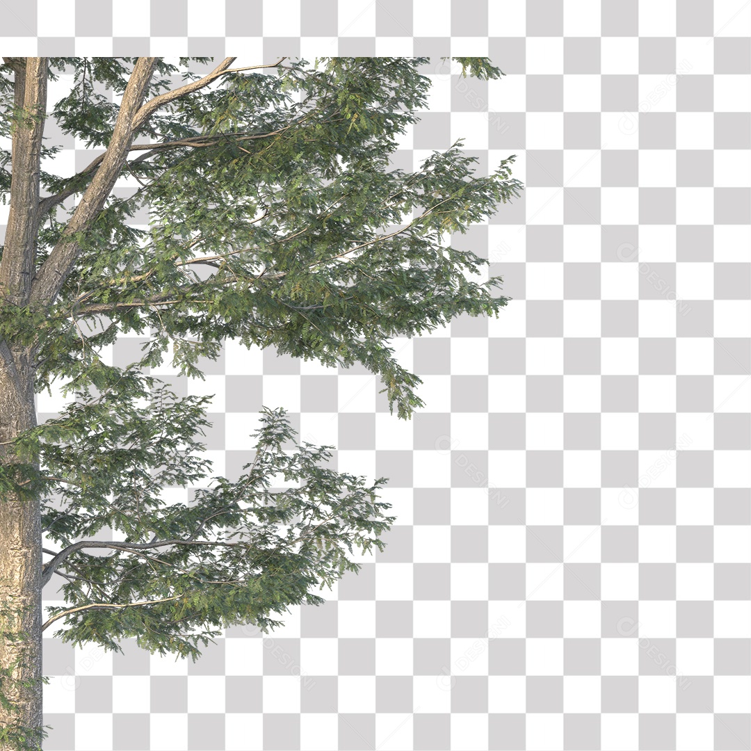 Árvore de Folha Verde Coqueiro Planta PNG Transparente