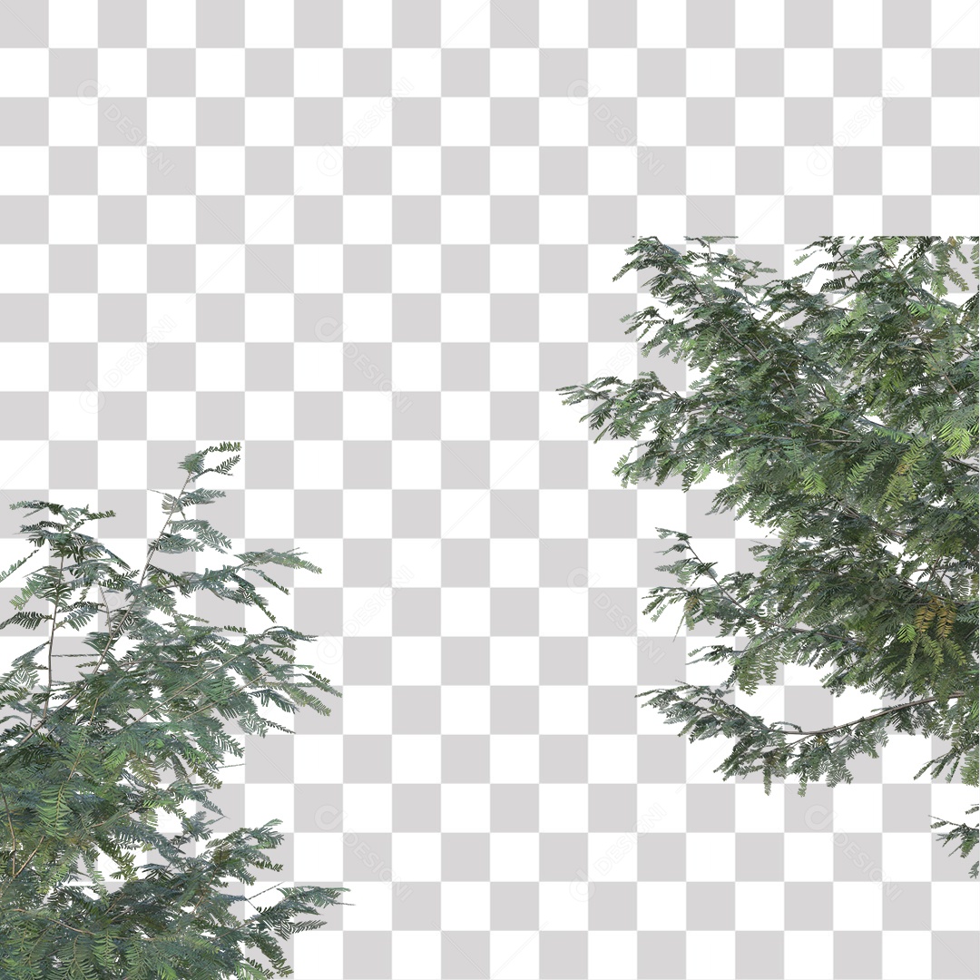 Árvore de Folha Verde Coqueiro Planta PNG Transparente