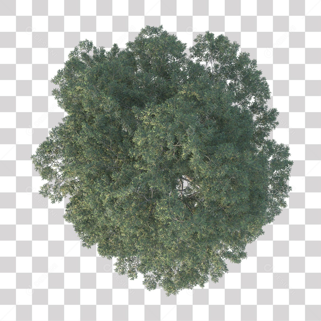 Árvore de Folha Verde Coqueiro Planta PNG Transparente