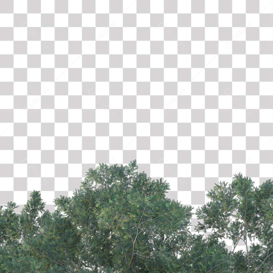 Árvore de Folha Verde Coqueiro Planta PNG Transparente