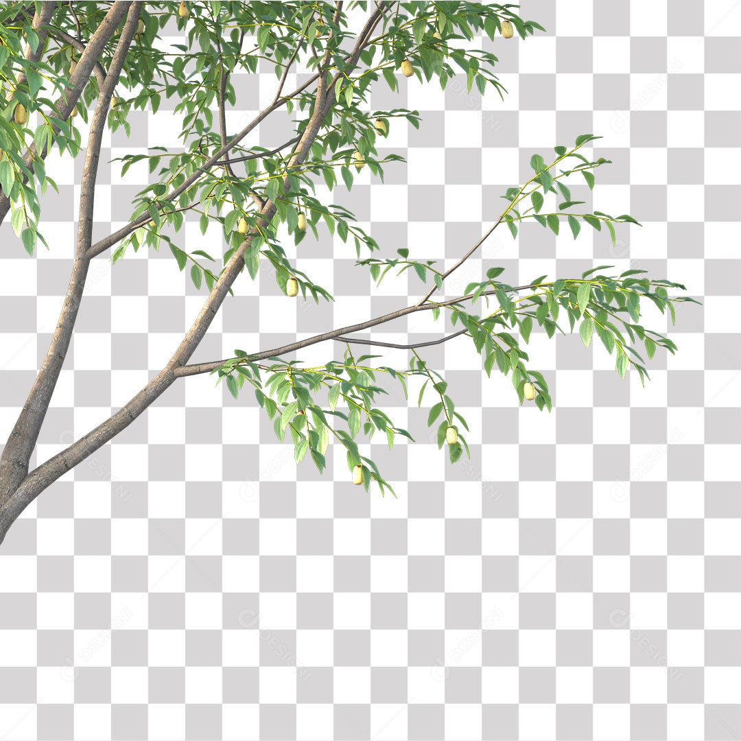 Árvore de Folha Verde Coqueiro Planta PNG Transparente