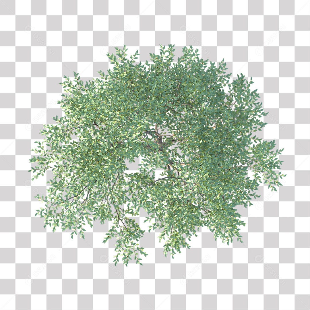 Árvore de Folha Verde Coqueiro Planta PNG Transparente