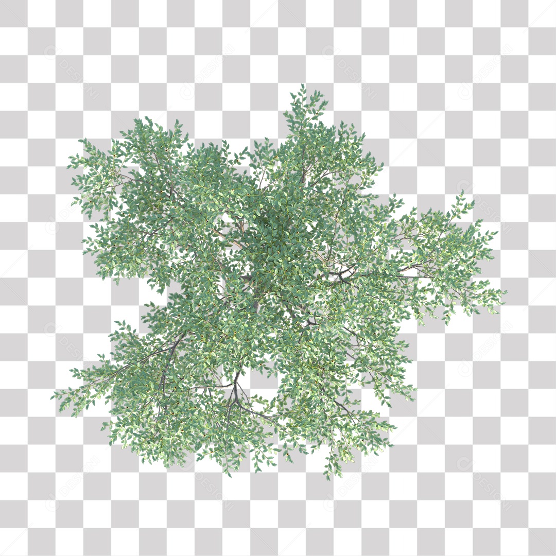 Árvore de Folha Verde Coqueiro Planta PNG Transparente