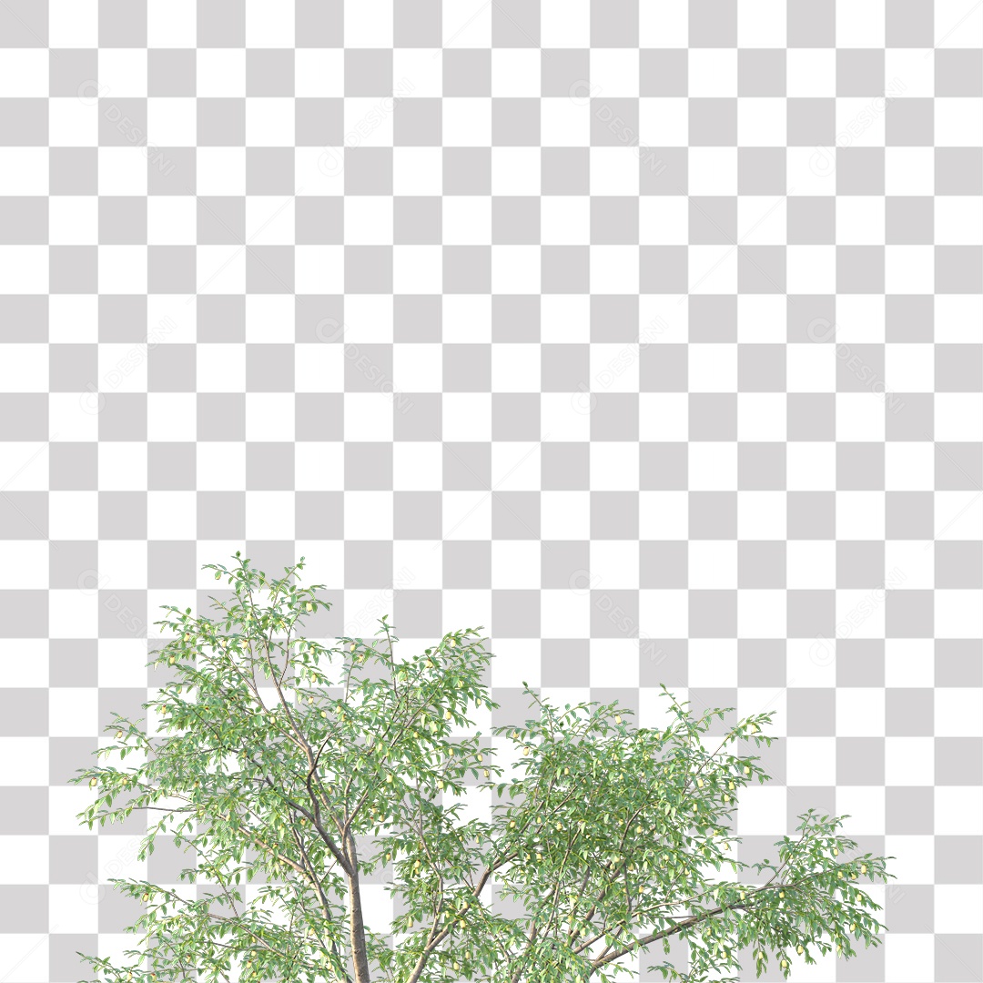 Árvore de Folha Verde Coqueiro Planta PNG Transparente