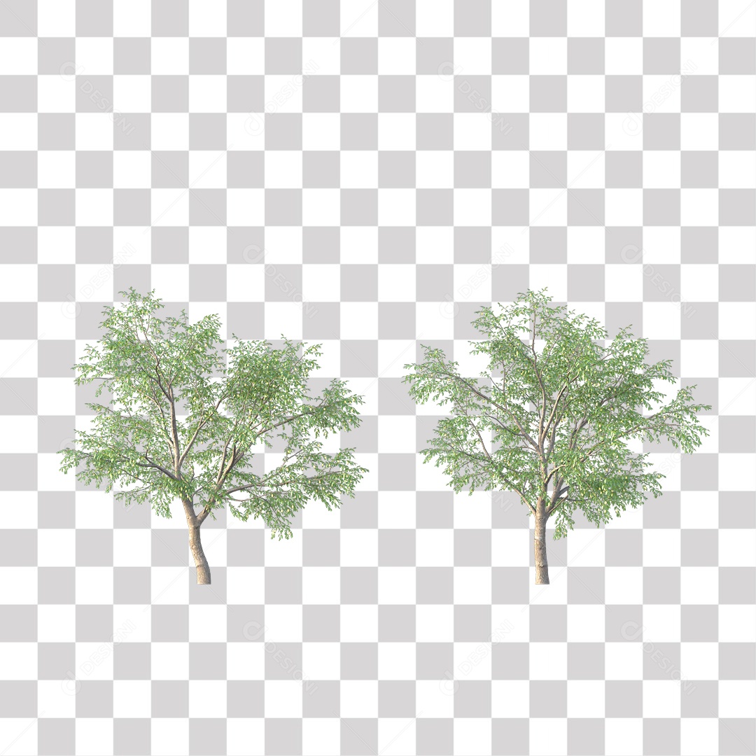 Árvore de Folha Verde Coqueiro Planta PNG Transparente