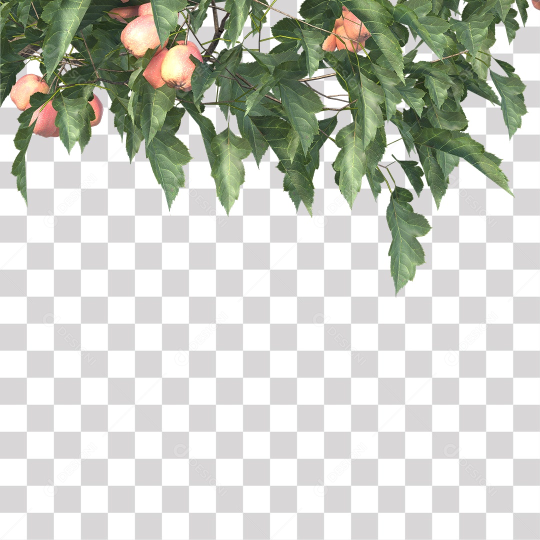 Árvore de Folha Verde Coqueiro Planta PNG Transparente