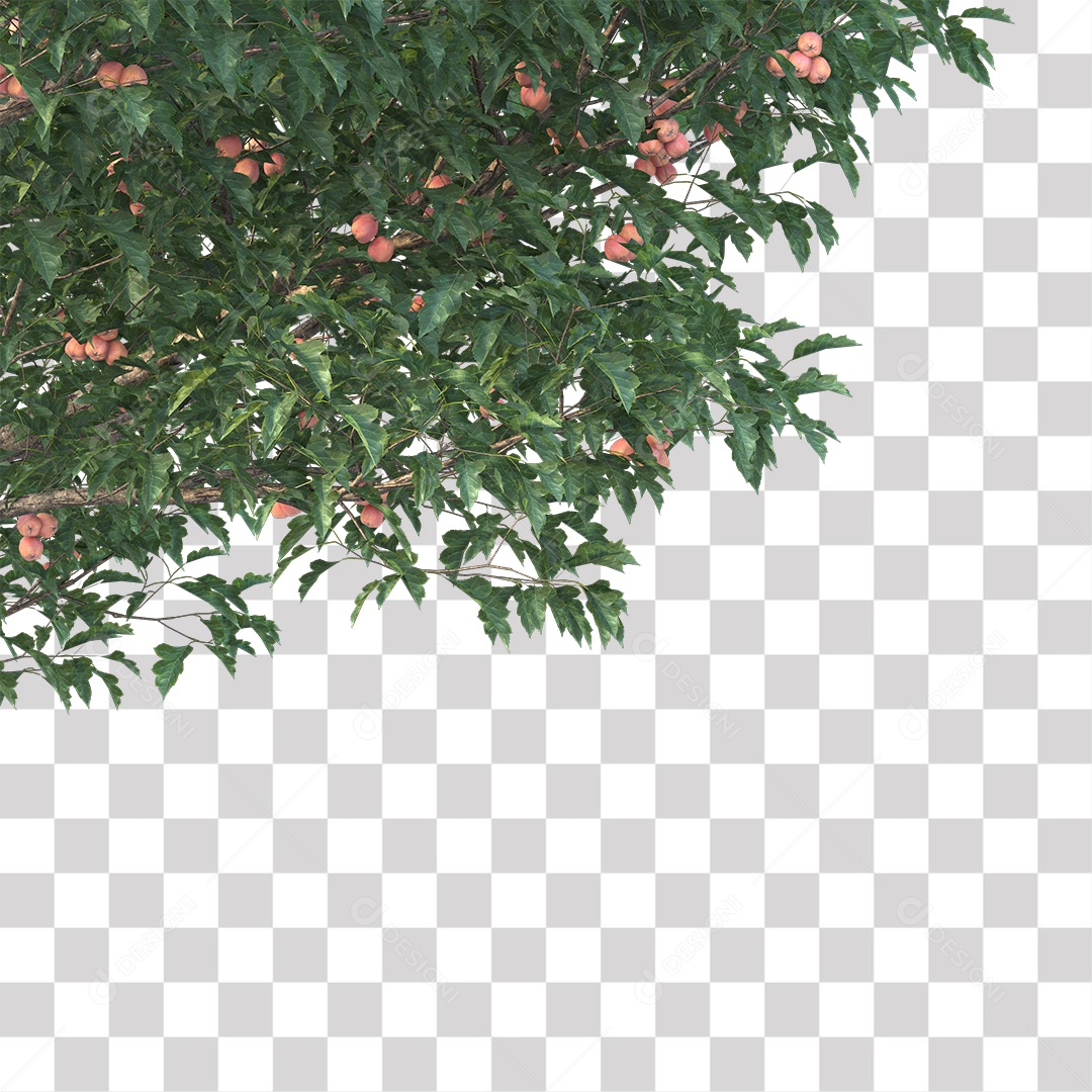 Árvore de Folha Verde Fruto Planta PNG Transparente