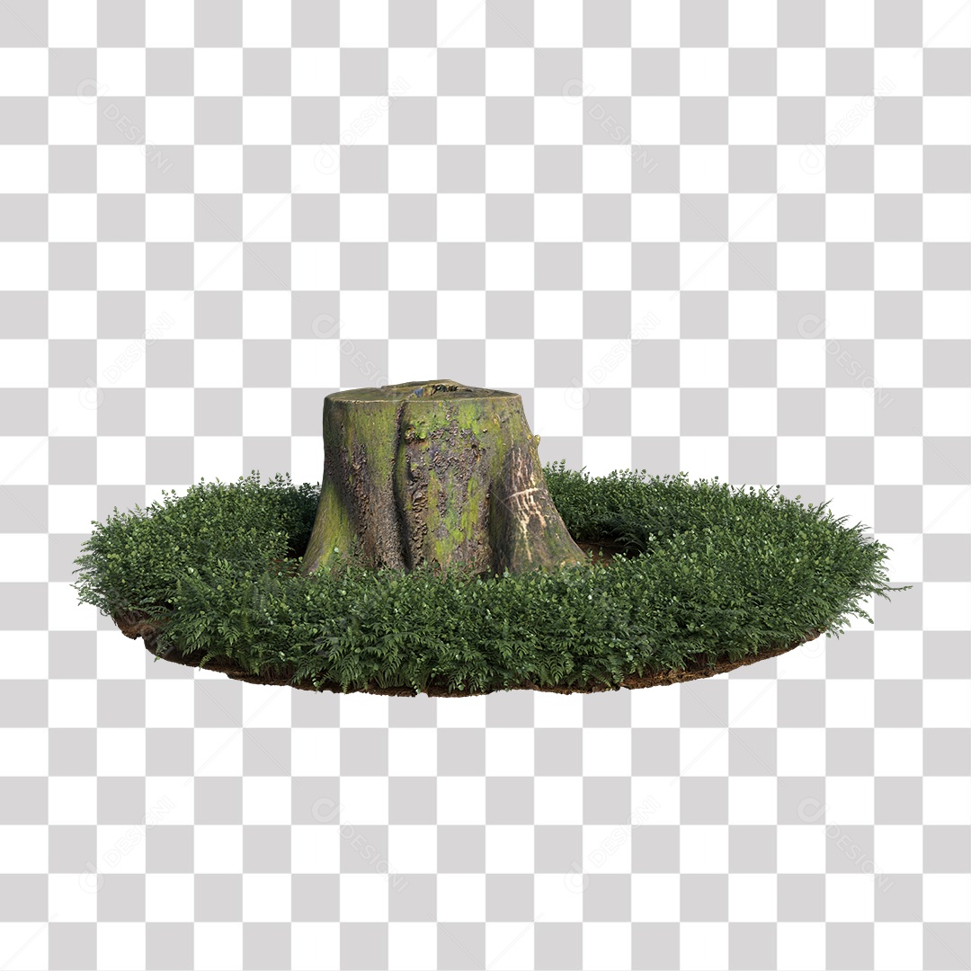 Tronco de árvore Planta PNG Transparente