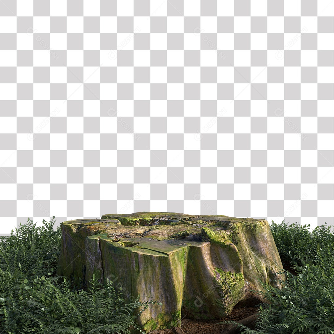 Tronco de árvore Planta PNG Transparente