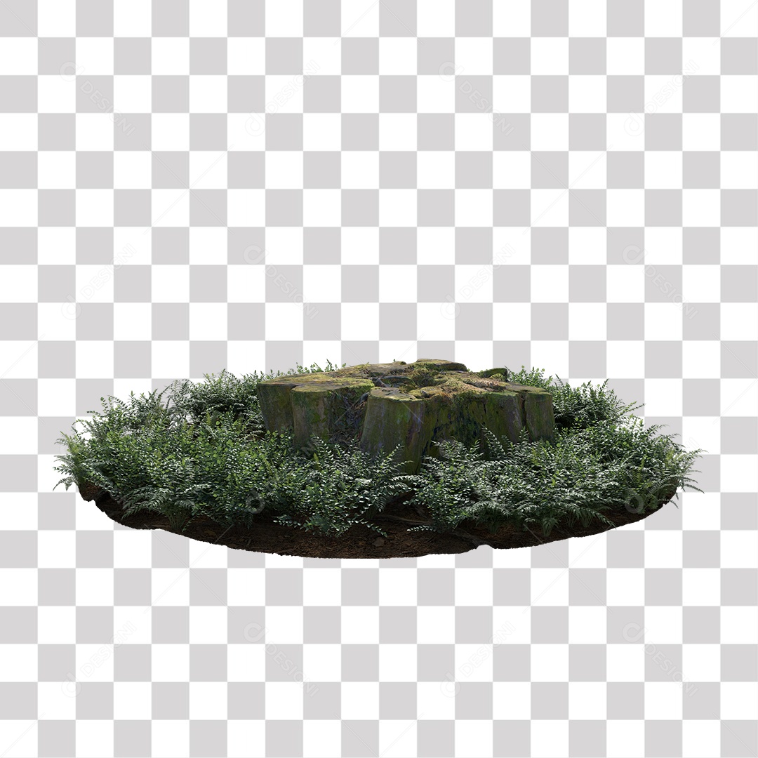 Tronco de árvore Planta PNG Transparente