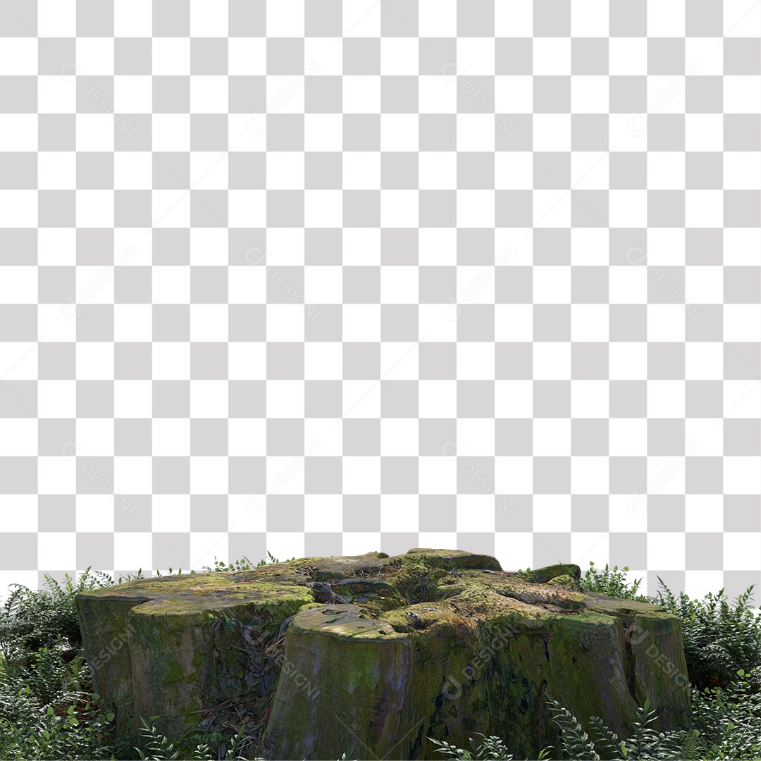 Tronco de árvore Planta PNG Transparente