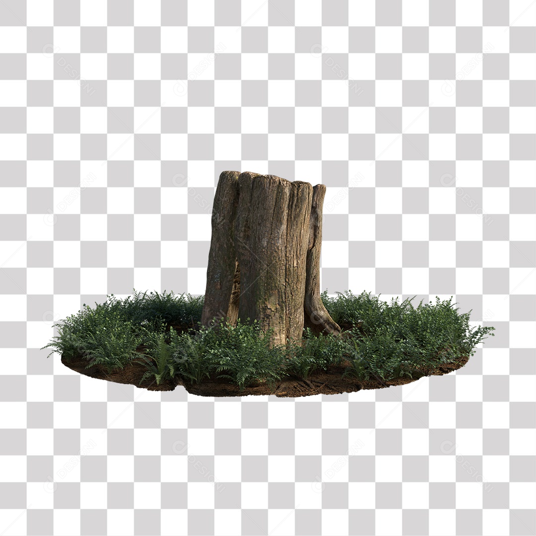 Tronco de árvore Planta PNG Transparente