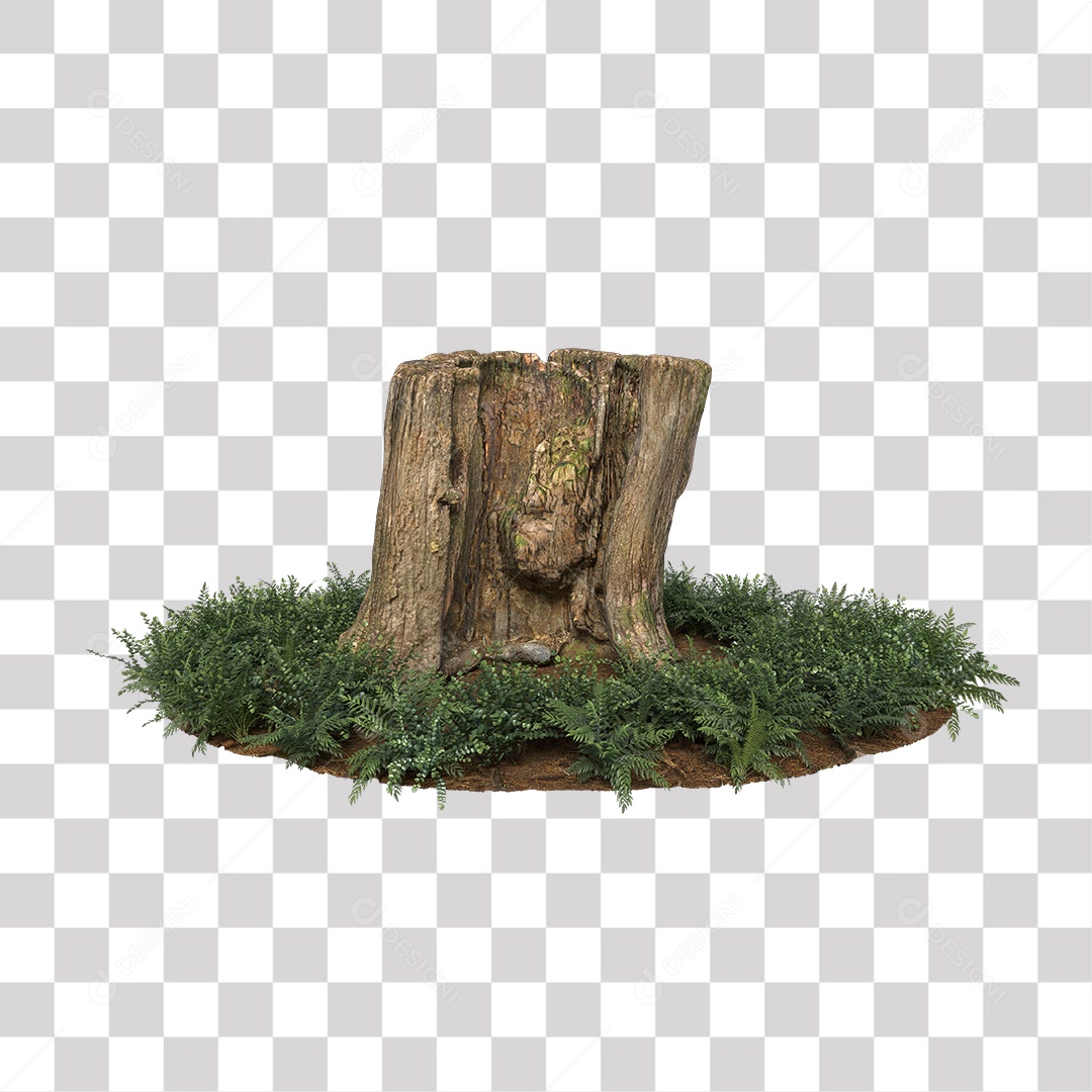 Árvore de Folha Verde Coqueiro Planta PNG Transparente