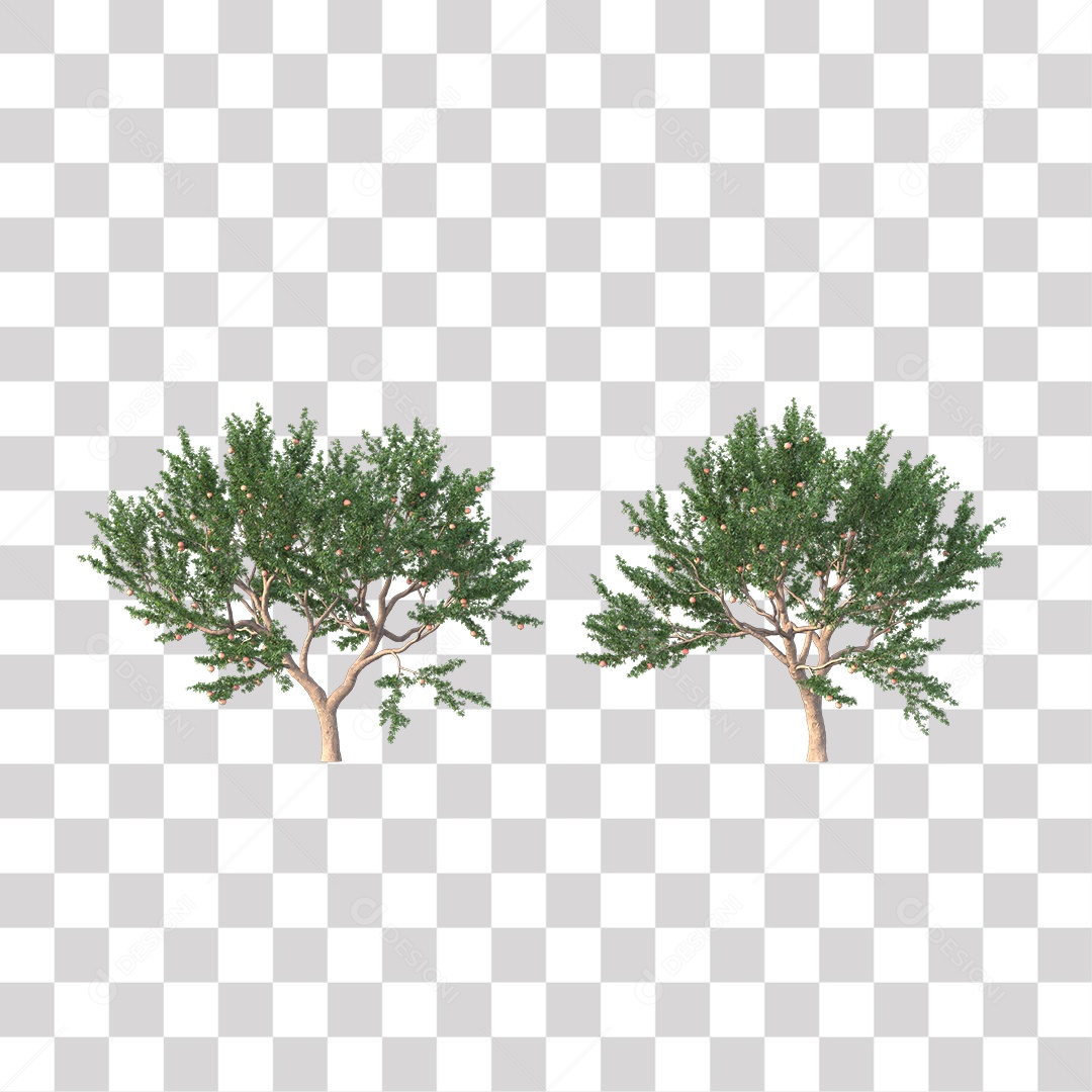 Árvore de Folha Verde Coqueiro Planta PNG Transparente