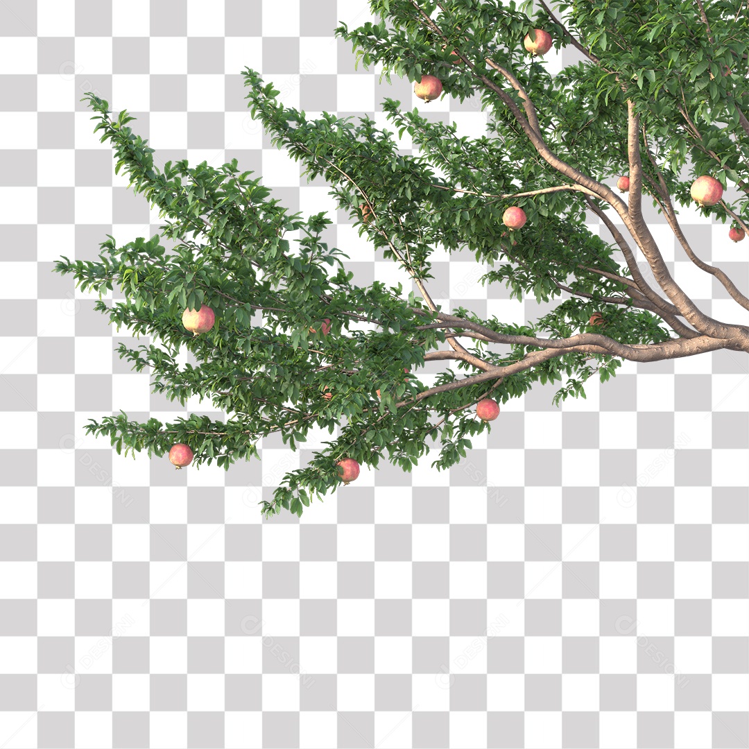 Folhas verdes de árvores PNG Transparente