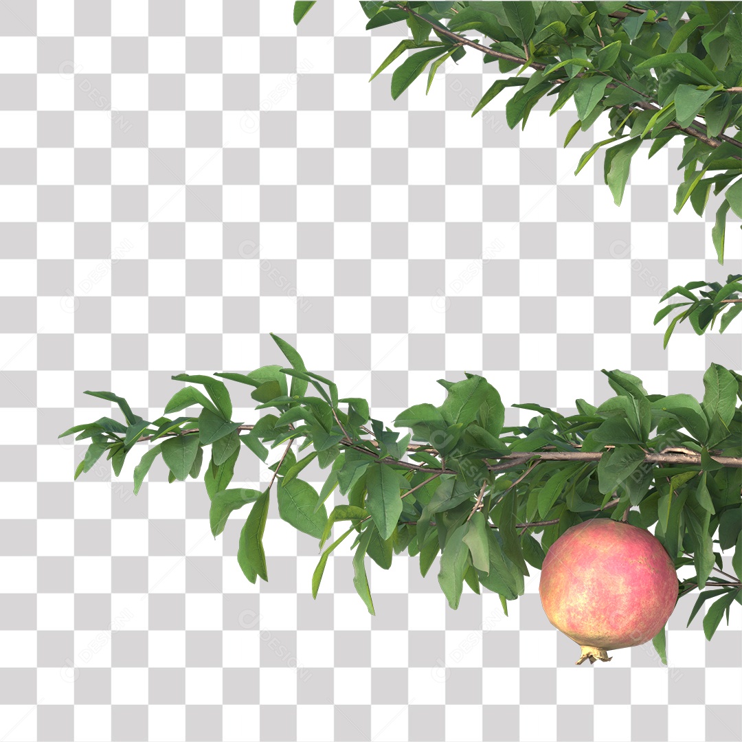 Árvore de Folha Verde Coqueiro Planta PNG Transparente