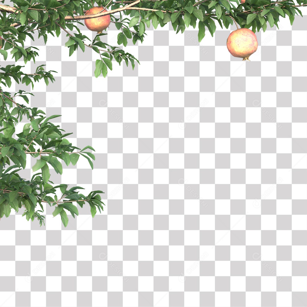 Galhos de folhas verdes PNG Transparente