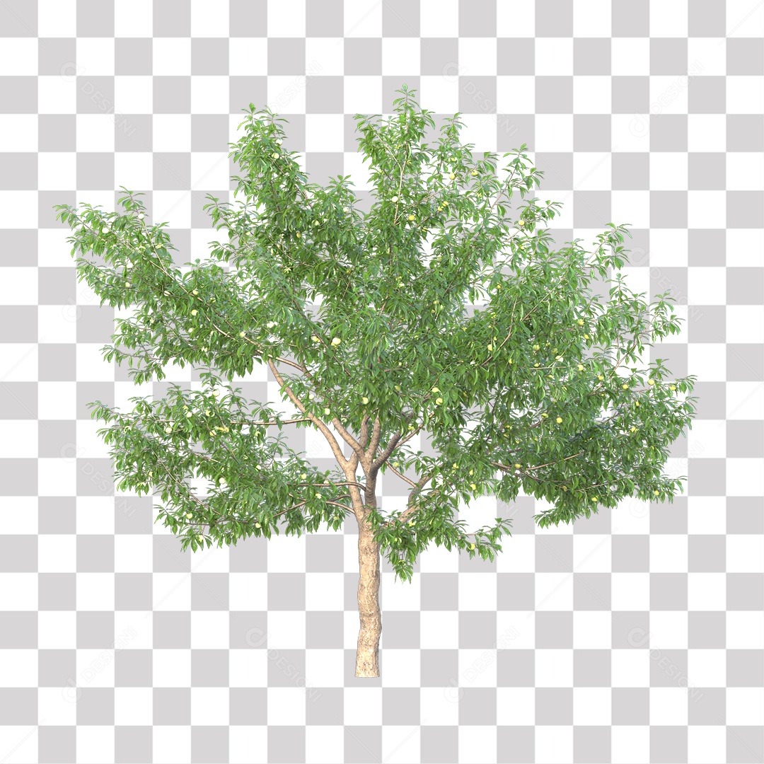 Árvores verdes PNG Transparente